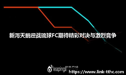 新泻天鹅迎战琉球FC期待精彩对决与激烈竞争